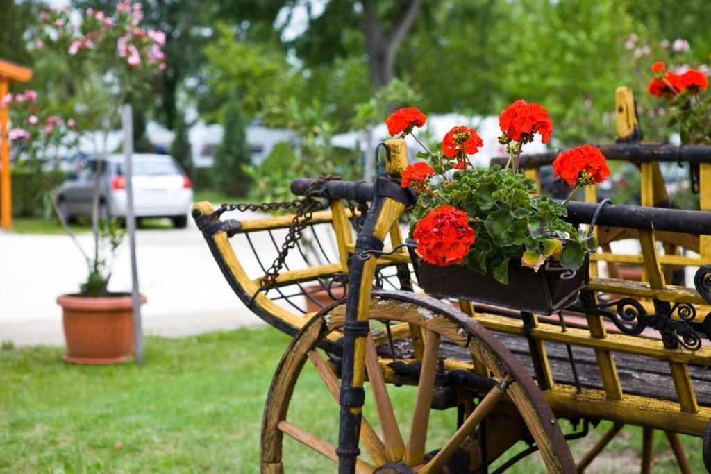 Balaton Eldorado Camping Hotel Badacsonytördemic Екстериор снимка