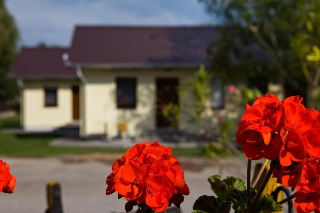Balaton Eldorado Camping Hotel Badacsonytördemic Екстериор снимка